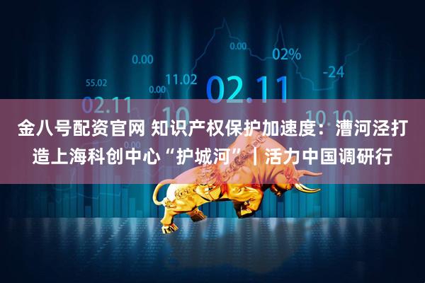 金八号配资官网 知识产权保护加速度：漕河泾打造上海科创中心“护城河”｜活力中国调研行