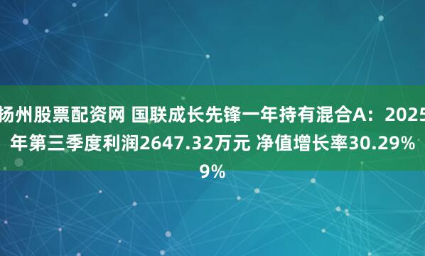 扬州股票配资网 国联成长先锋一年持有混合A：2025年第三季度利润2647.32万元 净值增长率30.29%